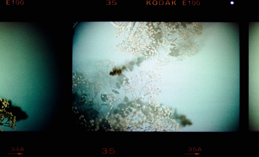 Space Explorers Employ Microorganisms for Extracting Minerals Beyond Earth - Space Portal featured image