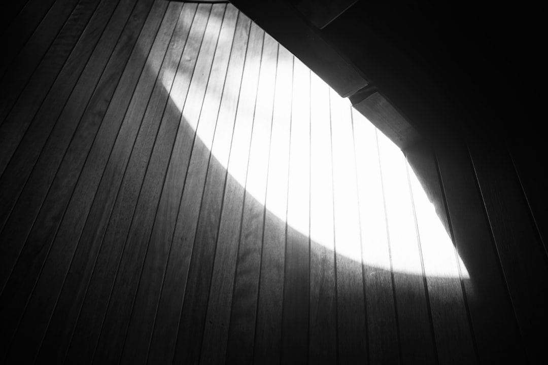 Ancient Trees Preserve Evidence of Catastrophic Solar Storms - Space Portal featured image