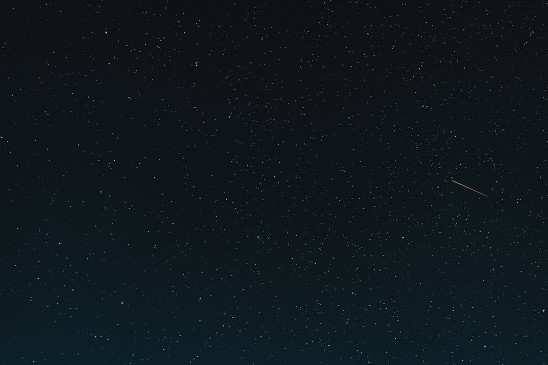 Could Our Planet Support Life If All Organisms Vanished?